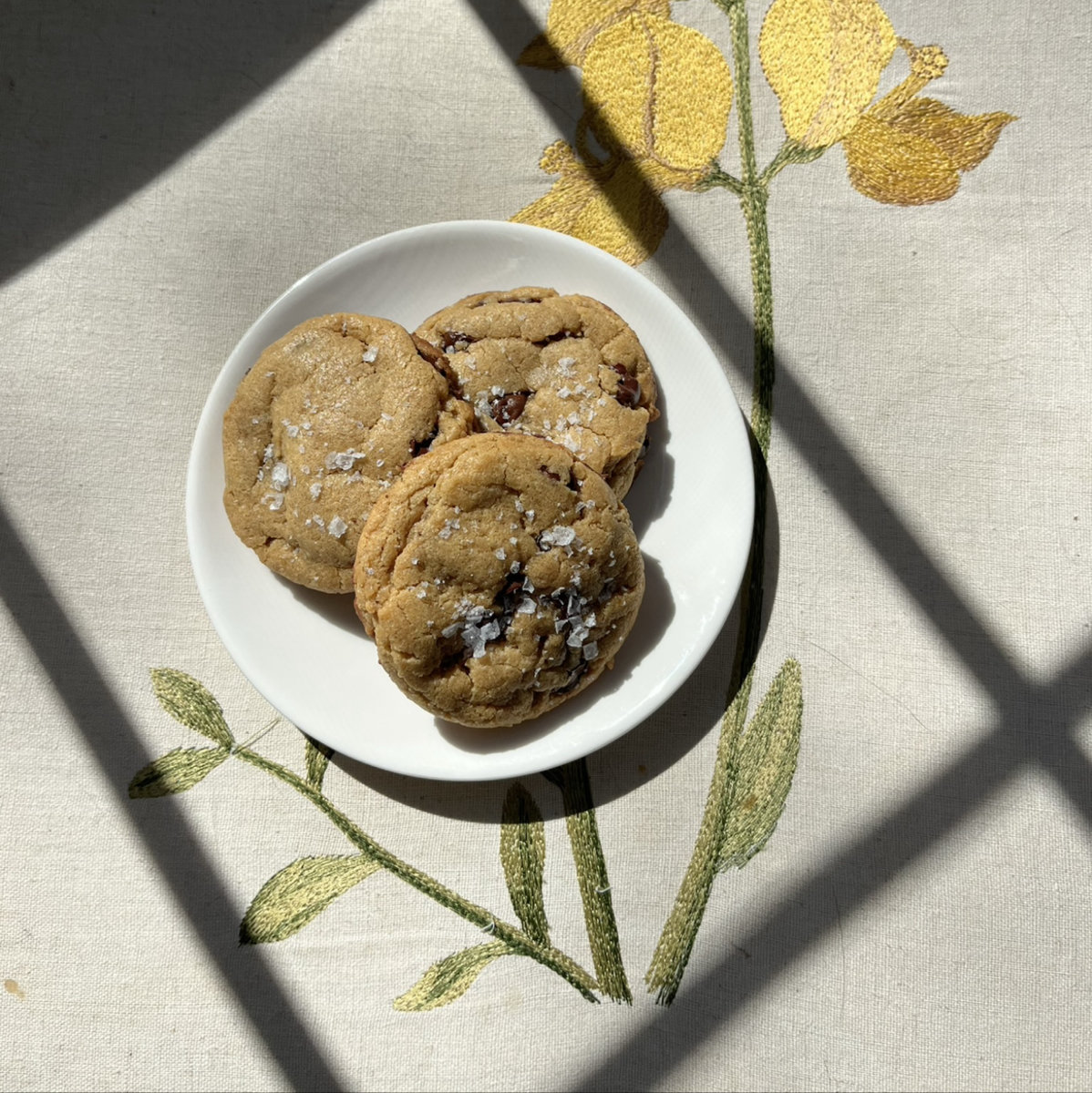 Photo added by <a href="/member/meagan_x2lsb8">meagan_x2lsb8</a>