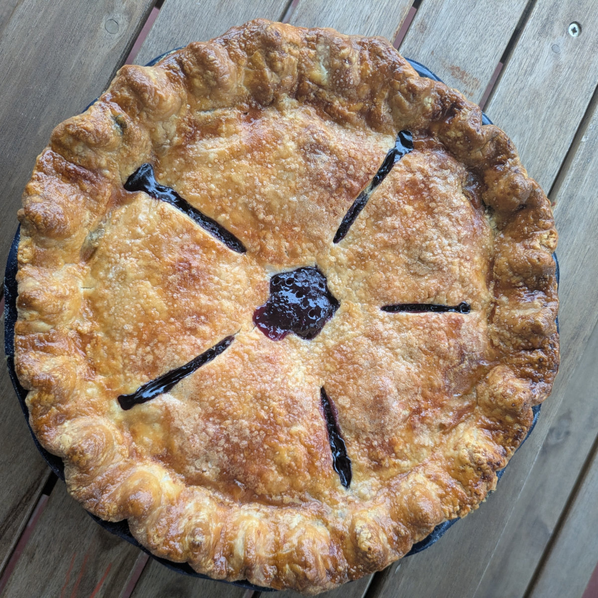 Photo added by <a href="/member/tinycheesecake">tinycheesecake</a>